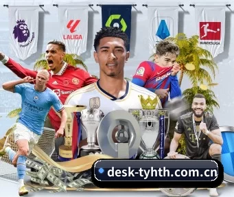 desk-tyhth.com.cn APP